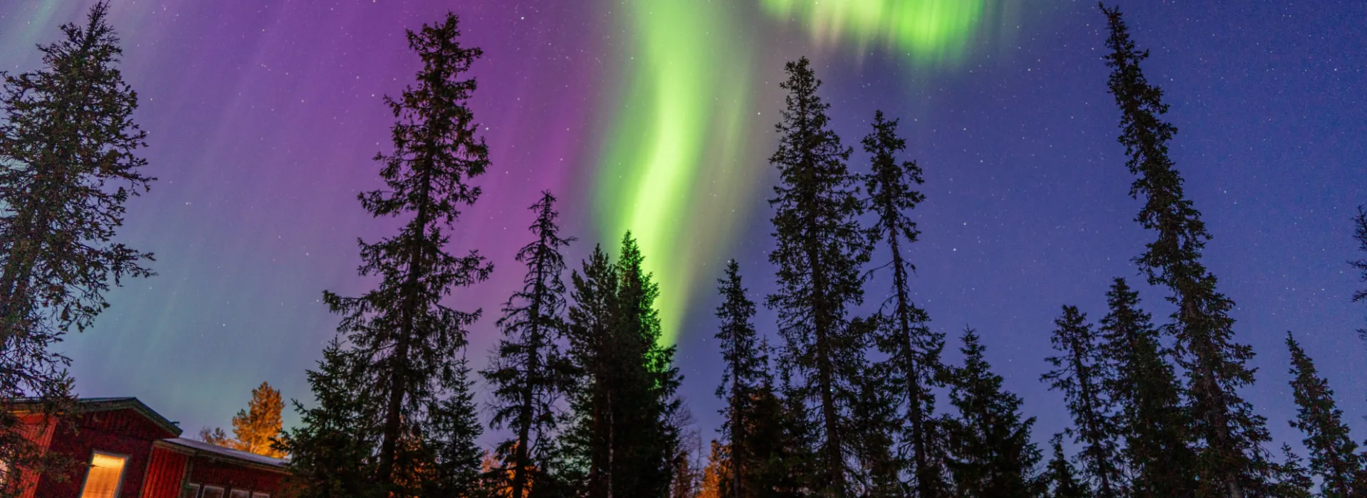 Swedish Ice Adventure Aurora Borealis